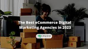 ecommerce digital marketing agency