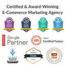 social media marketing agency for ecommerce